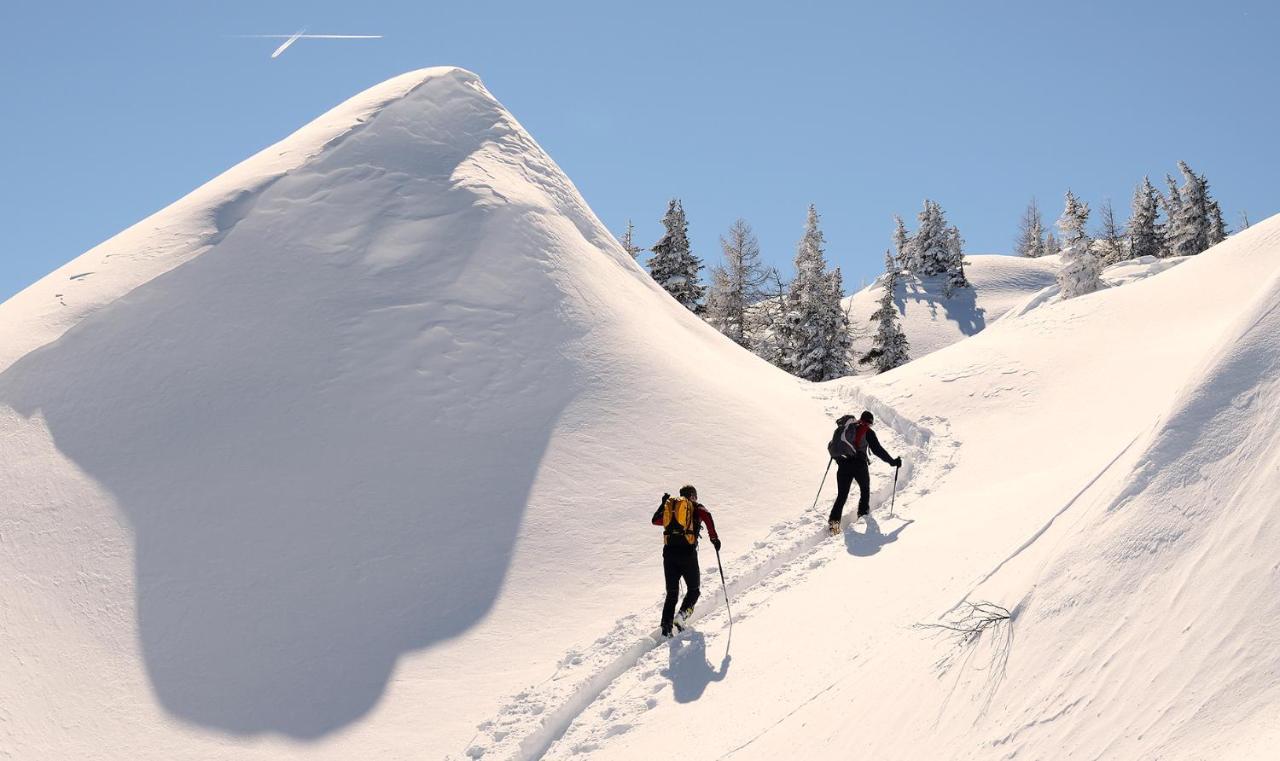 Naturhotel Huettenwirt Im Grossarltal Hüttschlag Exteriér fotografie