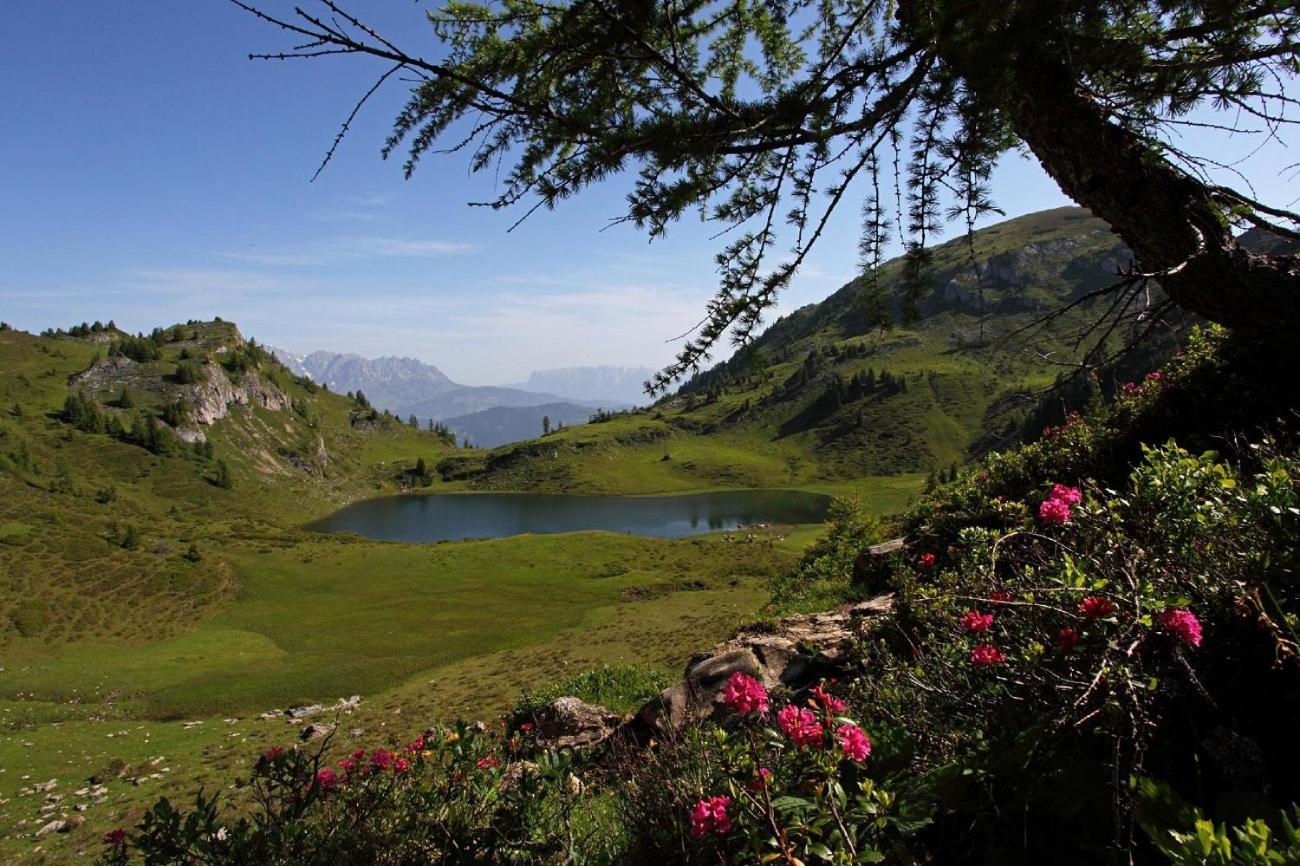 Naturhotel Huettenwirt Im Grossarltal Hüttschlag Exteriér fotografie